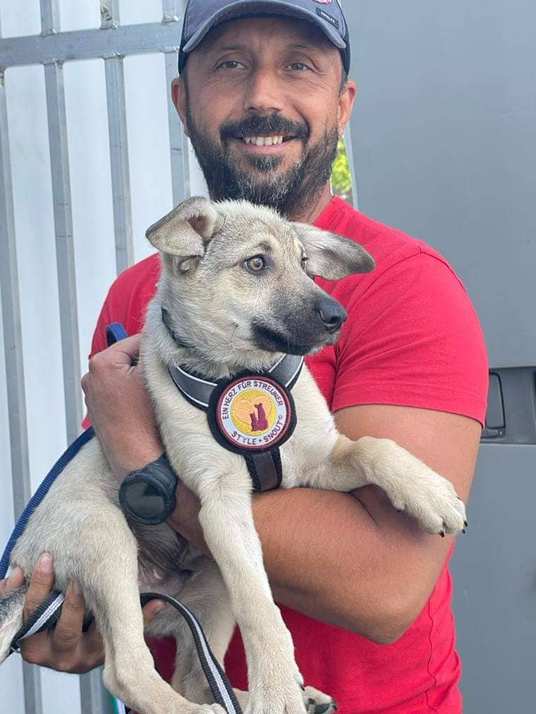 Dog being held lovely