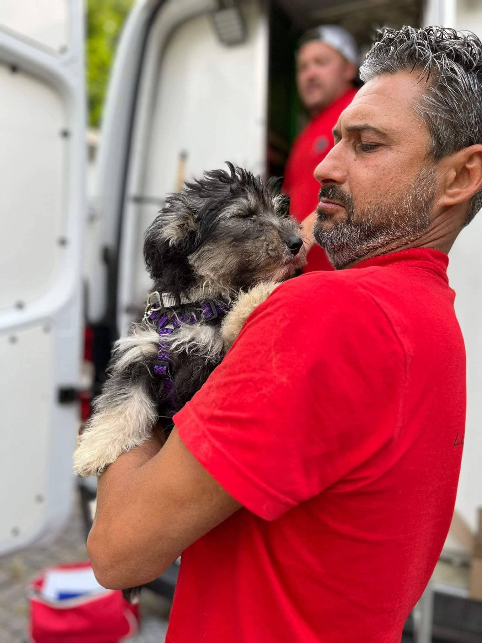 kew kitchen cabinets