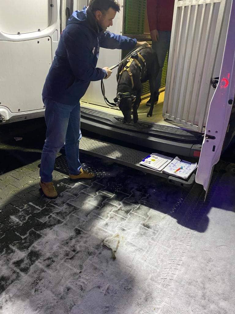 kew kitchen cabinets